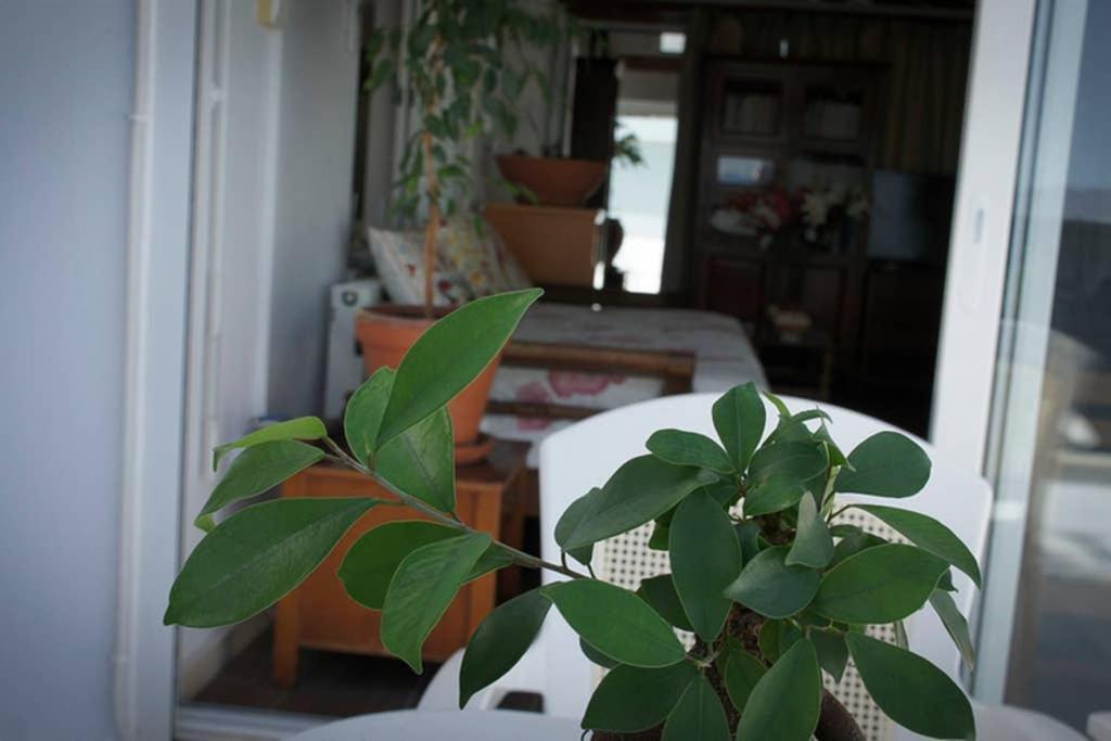 Stavros Amazing Apartment In The Centre Of Kos Zewnętrze zdjęcie